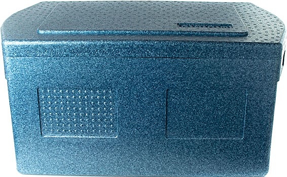 термоконтейнер foodatlas h-45l (синий)